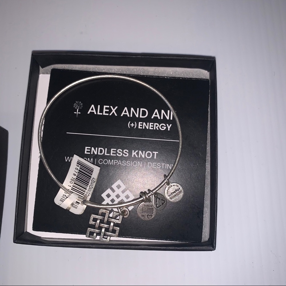 Alex and Ani Endless Knot silver charm bracelet